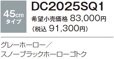 DC2025SQ1